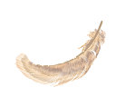 FeatherSubMark